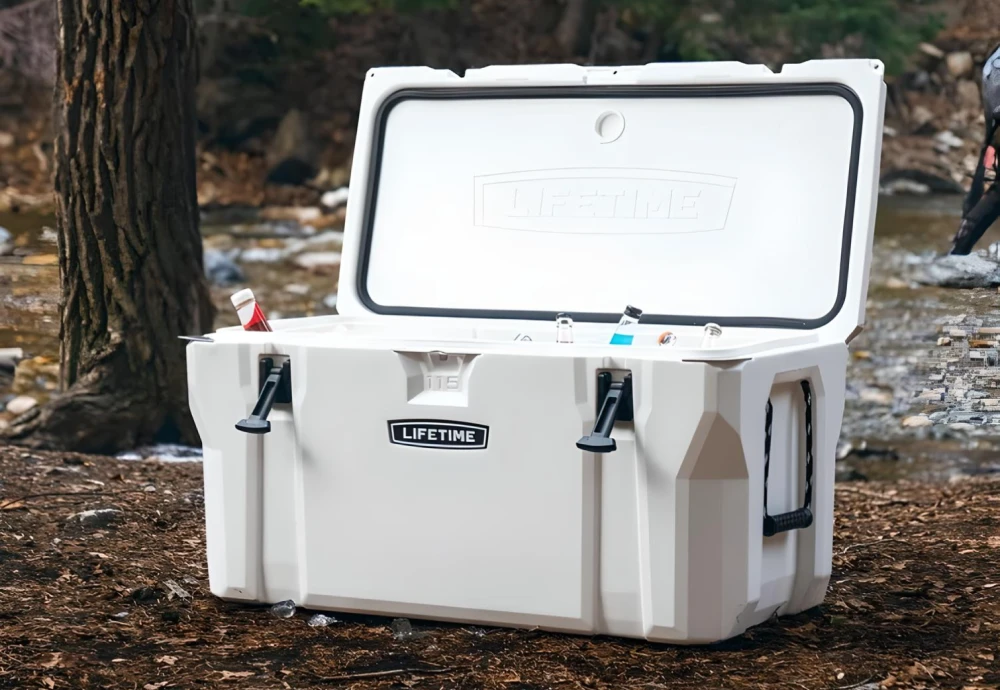 cooling ice chest