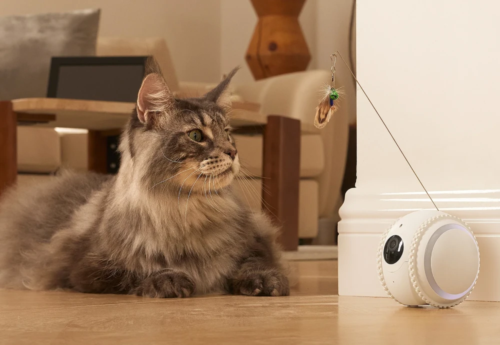 best camera for pets at home