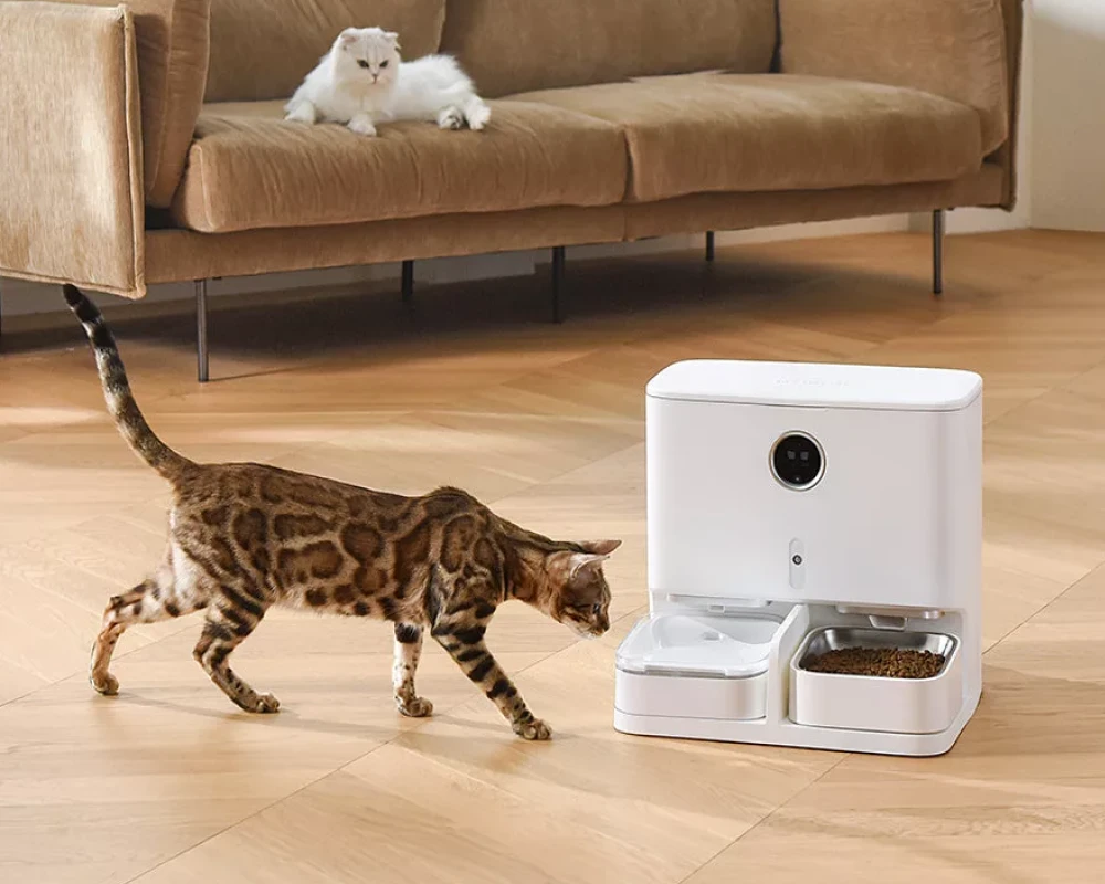 pet feeder automatic