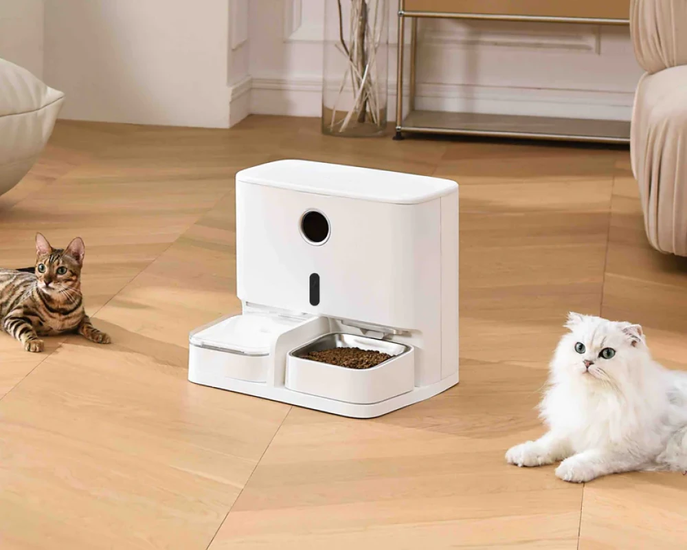 best cat feeder with camera
