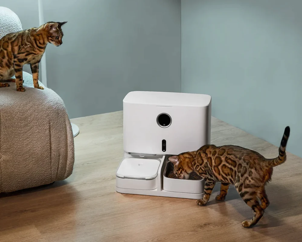 automatic pet water feeder