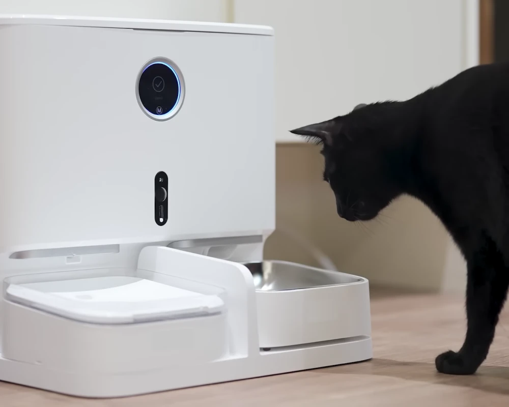 automatic pet feeder for two cats